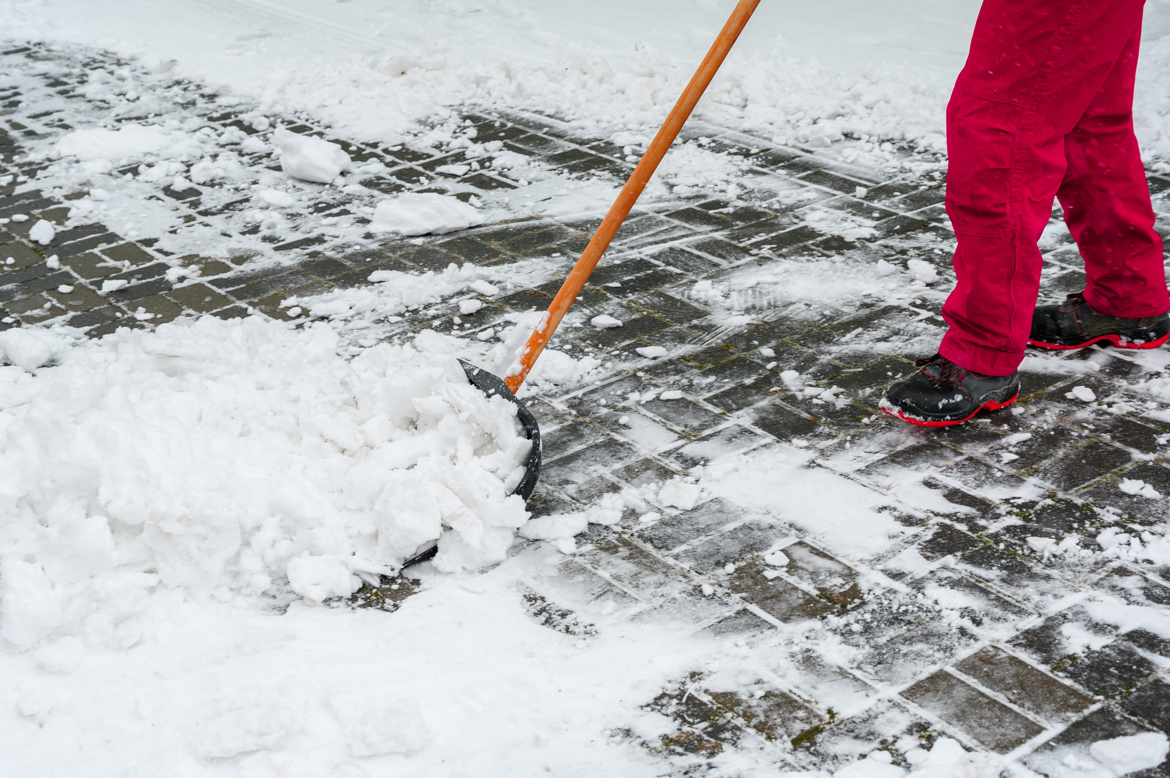 Дополнительные услуги