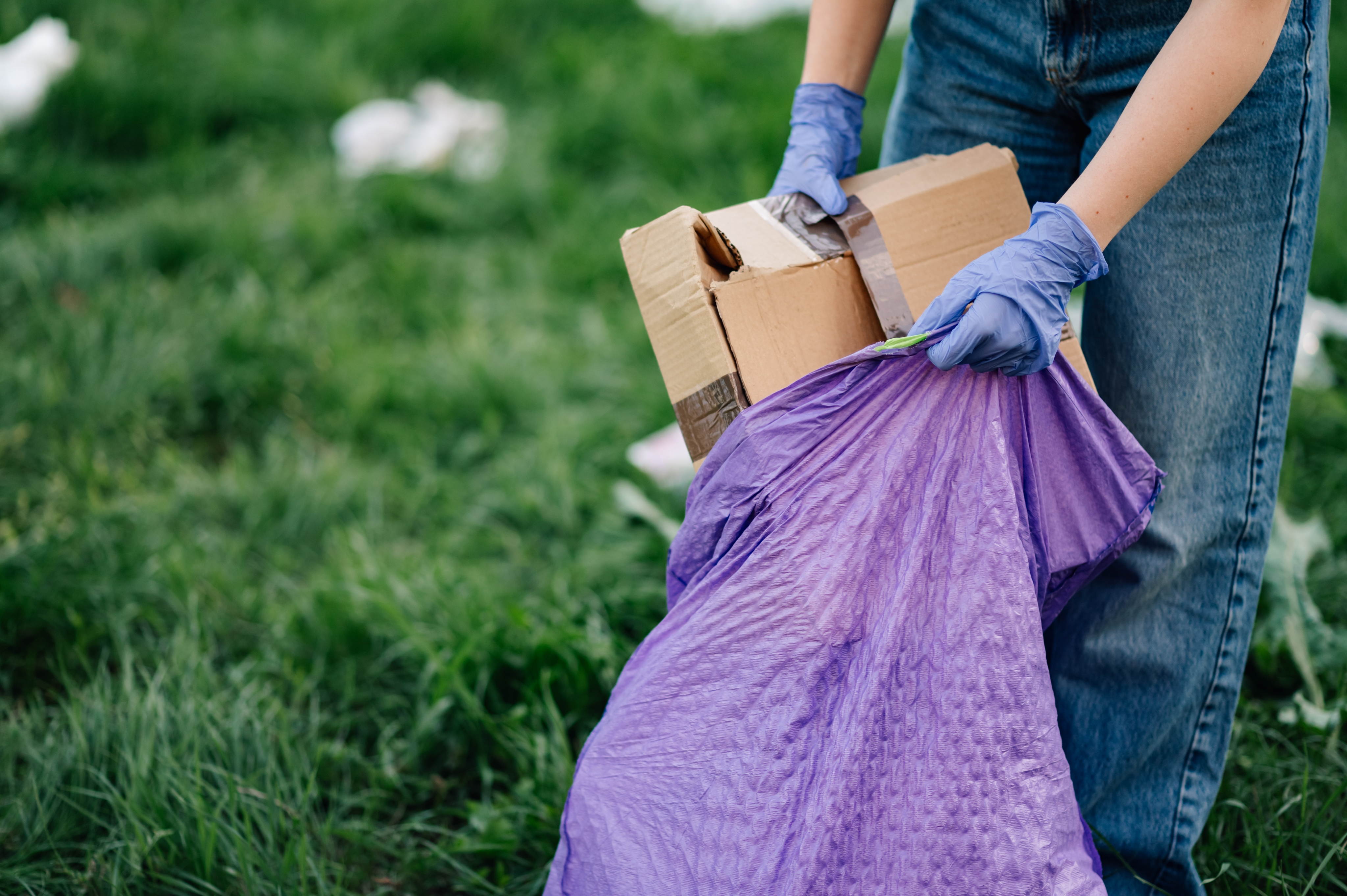 Первичная очистка территории